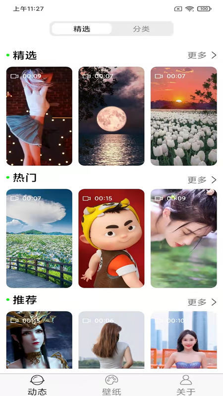 飞花动态壁纸app