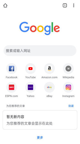 谷歌浏览器Google Chrome